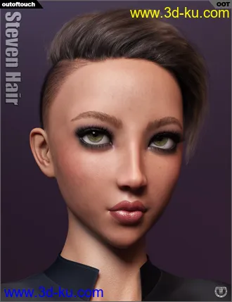 3D打印模型Steven Hair for Genesis 3 and Genesis 8的图片