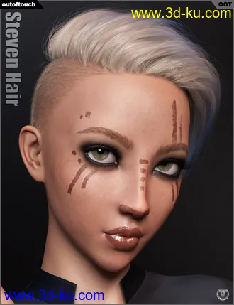 3D打印模型Steven Hair for Genesis 3 and Genesis 8的图片
