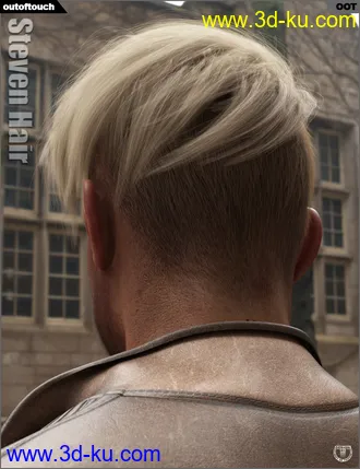 3D打印模型Steven Hair for Genesis 3 and Genesis 8的图片