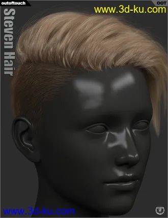 3D打印模型Steven Hair for Genesis 3 and Genesis 8的图片