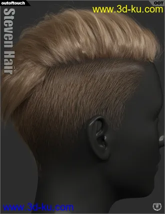 3D打印模型Steven Hair for Genesis 3 and Genesis 8的图片