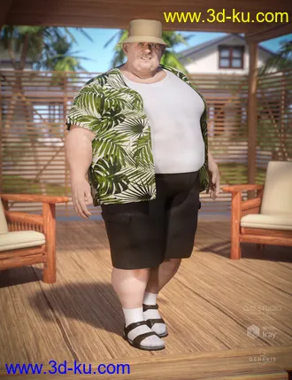 3D打印模型Summer Vacation Outfit for Genesis 8 Male(s)的图片