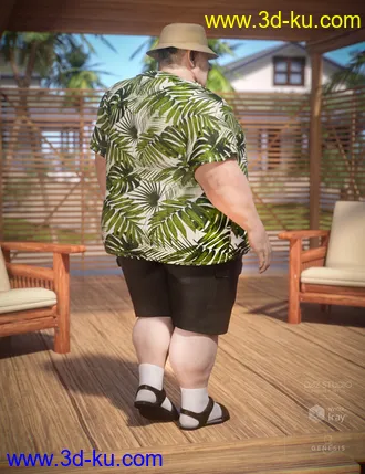 3D打印模型Summer Vacation Outfit for Genesis 8 Male(s)的图片