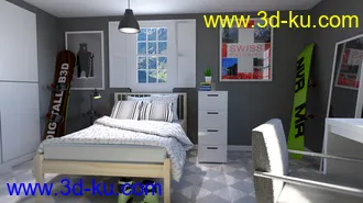 3D打印模型Swiss Room的图片