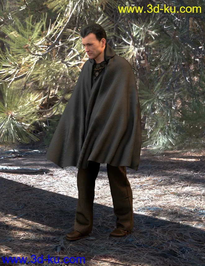 SY dForce Capes for Genesis 8模型的图片5