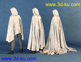 3D打印模型SY dForce Capes for Genesis 8的图片