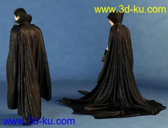 3D打印模型SY dForce Capes for Genesis 8的图片