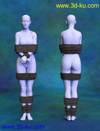 3D打印模型SY Tied Up! 3 for Genesis 8的图片