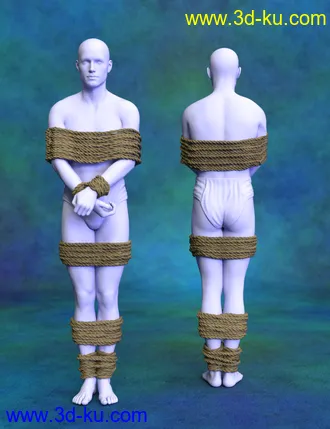 3D打印模型SY Tied Up! 3 for Genesis 8的图片