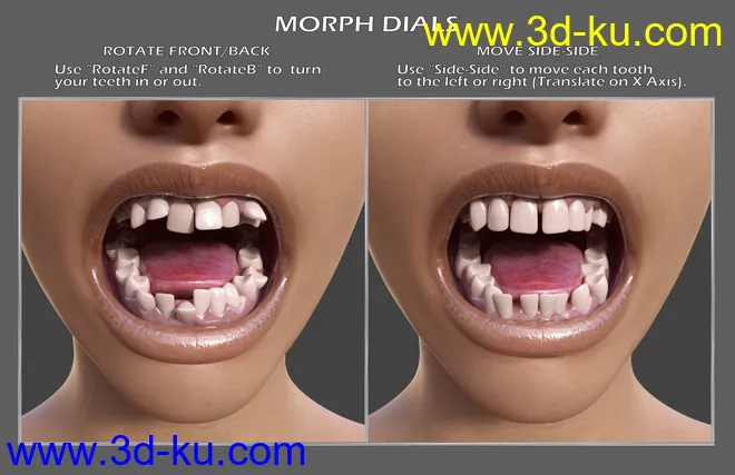 Teeth Master Control for Genesis 8 Female模型的图片3
