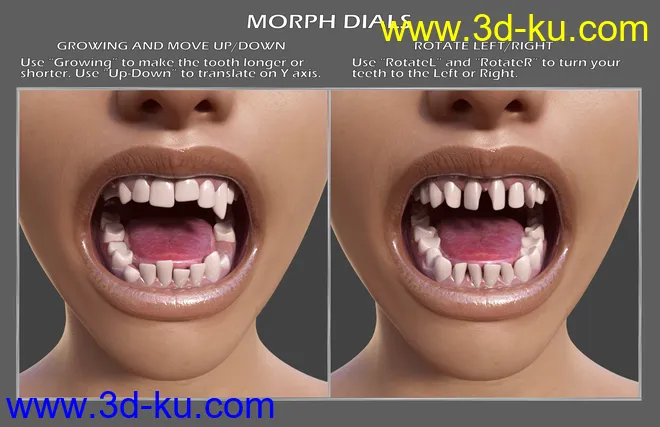 Teeth Master Control for Genesis 8 Female模型的图片4