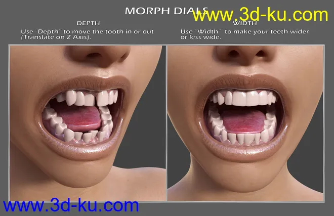 Teeth Master Control for Genesis 8 Female模型的图片5