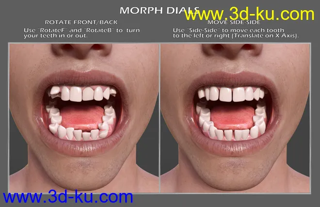 Teeth Master Control for Genesis 8 Male模型的图片3