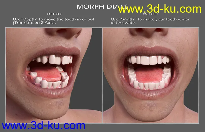 Teeth Master Control for Genesis 8 Male模型的图片5