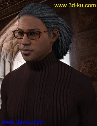 3D打印模型Terry Hair for Leroy 8的图片