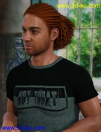 3D打印模型Terry Hair for Leroy 8的图片