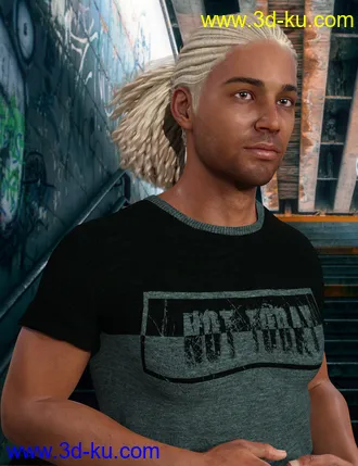 3D打印模型Terry Hair for Leroy 8的图片