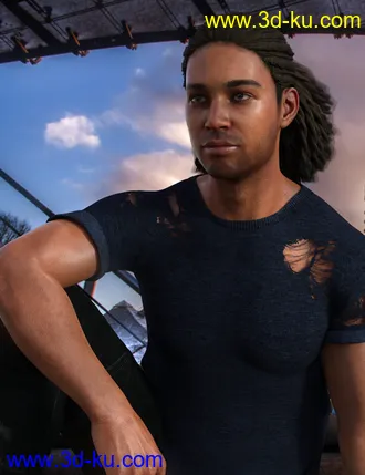 3D打印模型Terry Hair for Leroy 8的图片