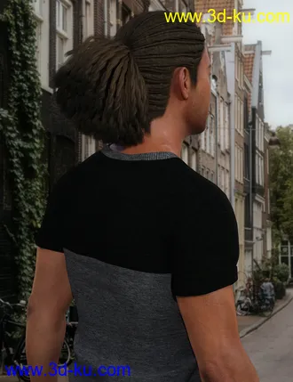 3D打印模型Terry Hair for Leroy 8的图片