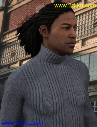 3D打印模型Terry Hair for Leroy 8的图片