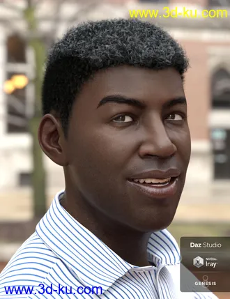3D打印模型Theo Hair for Genesis 8 and Genesis 3 Male(s)的图片