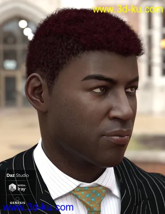 3D打印模型Theo Hair for Genesis 8 and Genesis 3 Male(s)的图片