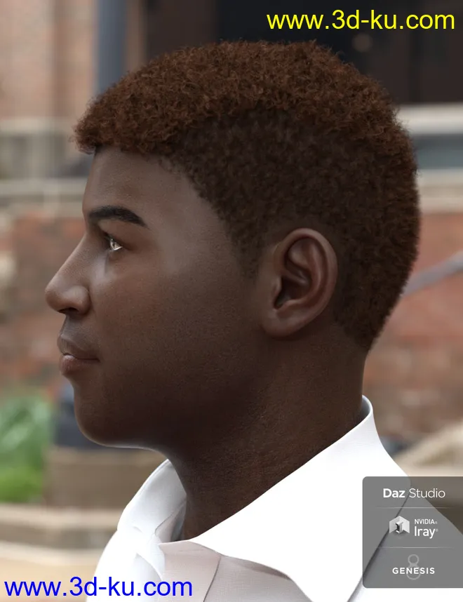 Theo Hair for Genesis 8 and Genesis 3 Male(s)模型的图片4