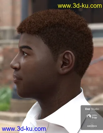 3D打印模型Theo Hair for Genesis 8 and Genesis 3 Male(s)的图片