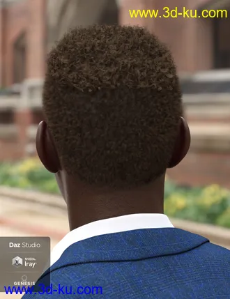 3D打印模型Theo Hair for Genesis 8 and Genesis 3 Male(s)的图片