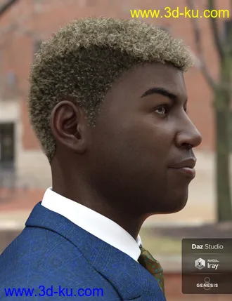 3D打印模型Theo Hair for Genesis 8 and Genesis 3 Male(s)的图片