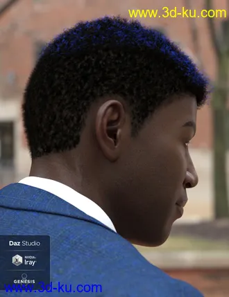 3D打印模型Theo Hair for Genesis 8 and Genesis 3 Male(s)的图片