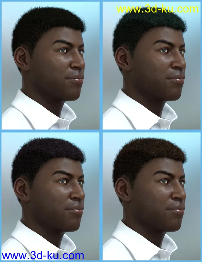 Theo Hair for Genesis 8 and Genesis 3 Male(s)模型的图片10