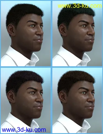 3D打印模型Theo Hair for Genesis 8 and Genesis 3 Male(s)的图片