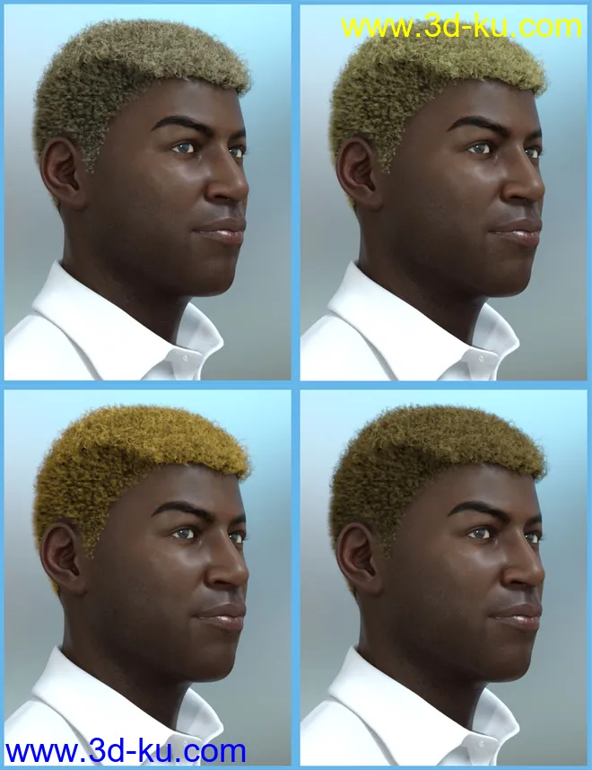 Theo Hair for Genesis 8 and Genesis 3 Male(s)模型的图片11