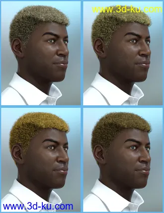 3D打印模型Theo Hair for Genesis 8 and Genesis 3 Male(s)的图片