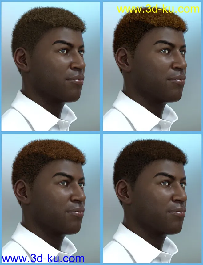 Theo Hair for Genesis 8 and Genesis 3 Male(s)模型的图片12