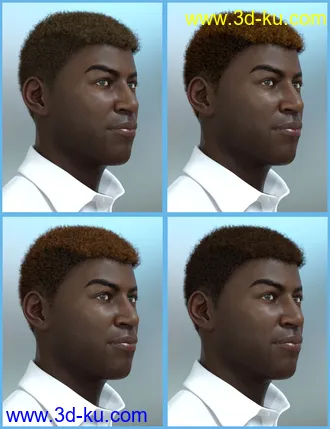 3D打印模型Theo Hair for Genesis 8 and Genesis 3 Male(s)的图片