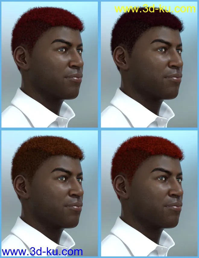Theo Hair for Genesis 8 and Genesis 3 Male(s)模型的图片13