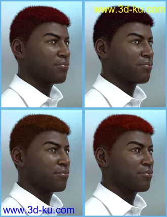 3D打印模型Theo Hair for Genesis 8 and Genesis 3 Male(s)的图片