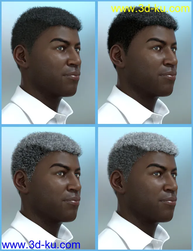 Theo Hair for Genesis 8 and Genesis 3 Male(s)模型的图片14