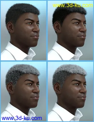3D打印模型Theo Hair for Genesis 8 and Genesis 3 Male(s)的图片
