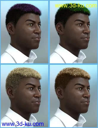 3D打印模型Theo Hair for Genesis 8 and Genesis 3 Male(s)的图片
