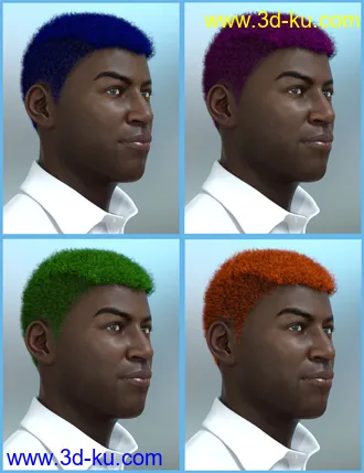 3D打印模型Theo Hair for Genesis 8 and Genesis 3 Male(s)的图片