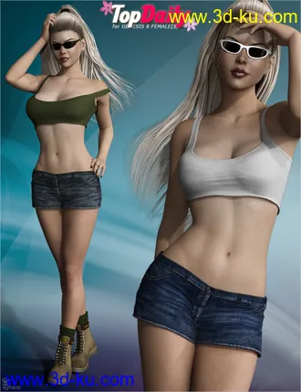 3D打印模型Top Daily Outfit Set for Genesis 8 Female(s)的图片