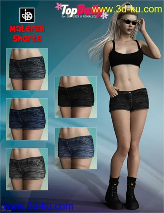 3D打印模型Top Daily Outfit Set for Genesis 8 Female(s)的图片