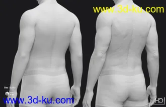 3D打印模型Tristan 8 HD Add-On的图片