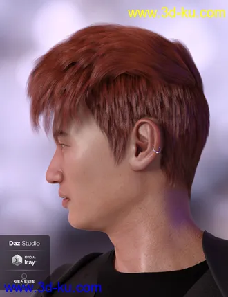 3D打印模型Troy Hair for Genesis 3 and 8 Male(s)的图片