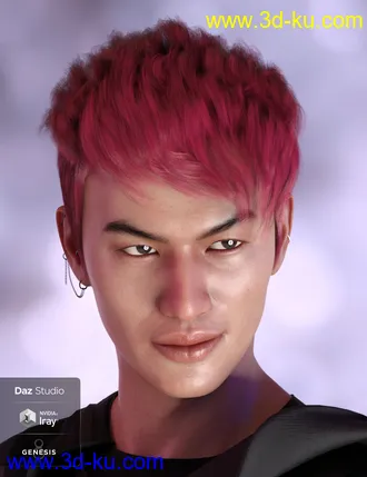 3D打印模型Troy Hair for Genesis 3 and 8 Male(s)的图片
