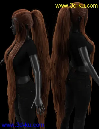 3D打印模型Turbulent Tail Hair for Genesis 3 and 8 Female(s)的图片