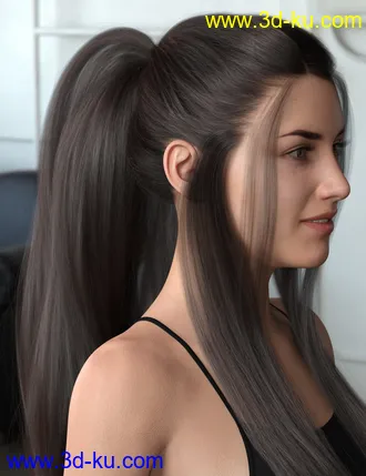 3D打印模型Turbulent Tail Hair for Genesis 3 and 8 Female(s)的图片